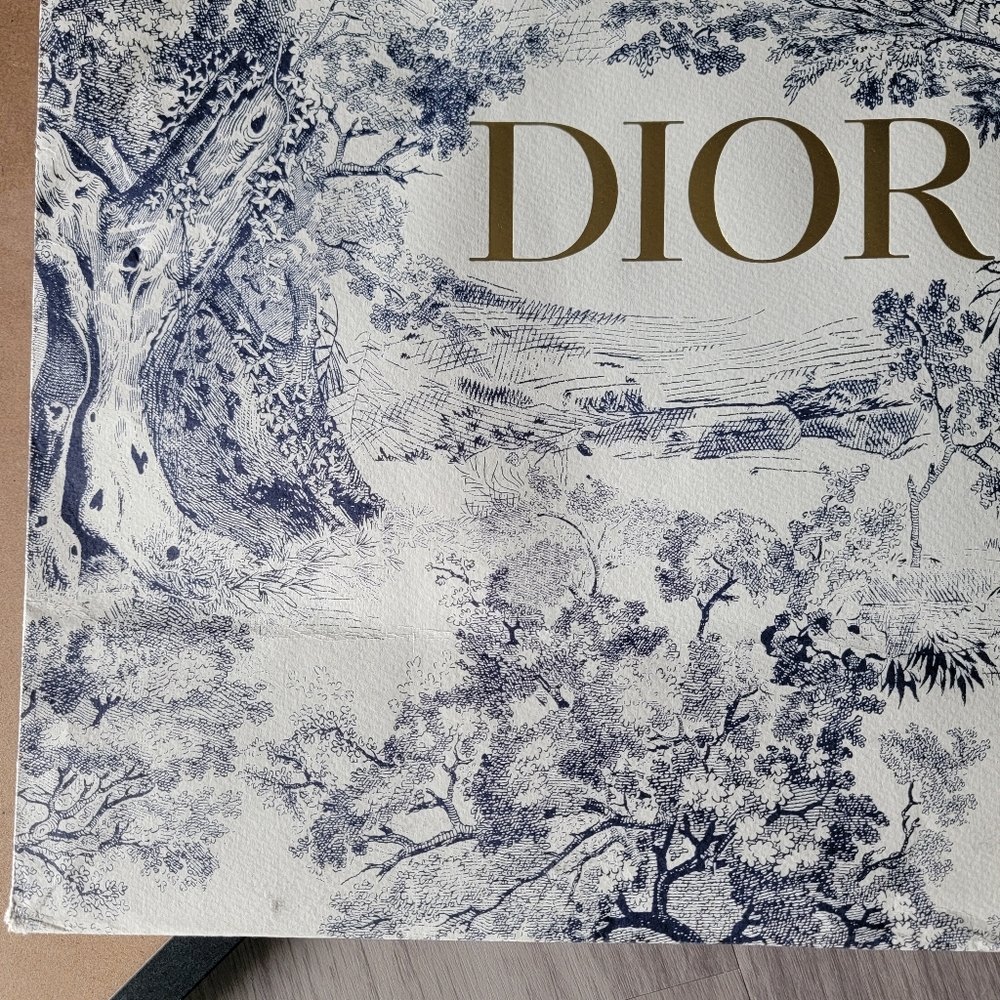 SALE🎉 Framed - Limited Edition Authentic Dior Shopping Bag - Framed - Picture 5 of 10